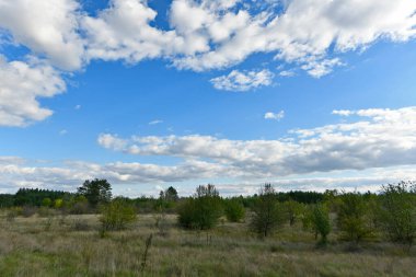 Doğu Ukrayna 'nın düzlüklerinin ve ormanlarının güzel manzaraları