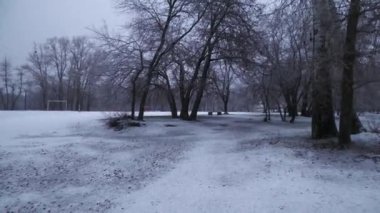 Wet snow before the new year, at least some mood of snow on the eve of the holiday.