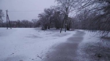 Wet snow before the new year, at least some mood of snow on the eve of the holiday.