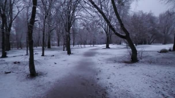 Υγρό Χιόνι Πριν Από Νέο Έτος Τουλάχιστον Κάποια Διάθεση Του — Αρχείο Βίντεο