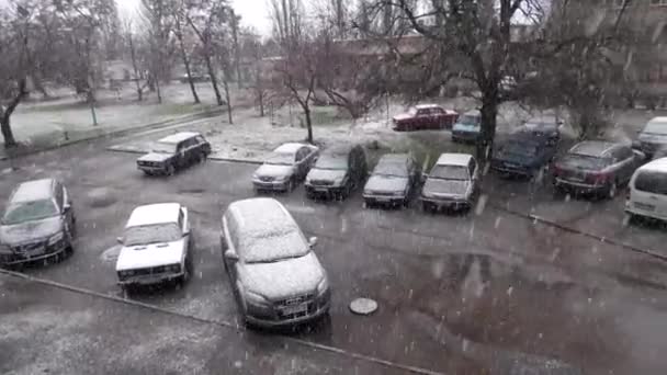 Ουκρανία Novomoskovsk 2022 Υγρό Χιόνι Πριν Από Νέο Έτος Τουλάχιστον — Αρχείο Βίντεο
