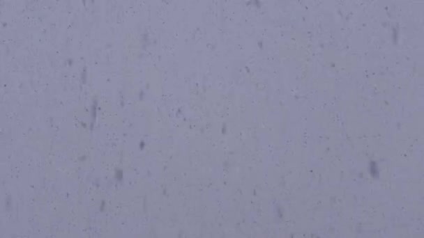 Мокрий Сніг Перед Новим Роком Хоча Трохи Настрою Снігу Напередодні — стокове відео