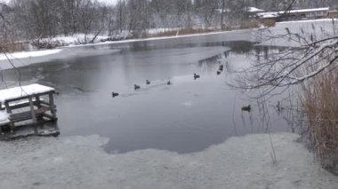 Nature has no war, nature arranged a holiday in winter for several days, for people during the war in Ukraine.