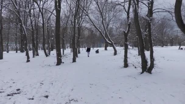 Ukraine Novomoskovsk 2023 Nature Has War Nature Arranged Holiday Winter — Stockvideo