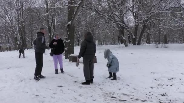 Ukrajina Novomoskovsk 2023 Příroda Nemá Válku Příroda Uspořádala Dovolenou Zimě — Stock video