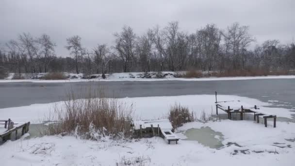 Naturaleza Tiene Guerra Naturaleza Organizó Unas Vacaciones Invierno Durante Varios — Vídeos de Stock