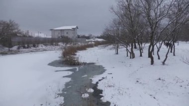 Nature has no war, nature arranged a holiday in winter for several days, for people during the war in Ukraine.