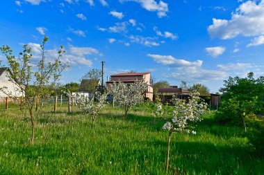 İlkbahar manzaraları, Ukrayna 'da kış sonrası doğa uyanıyor..