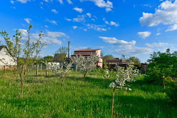 Paisajes Primavera Naturaleza Despierta Después Del Invierno Ucrania — Foto de Stock