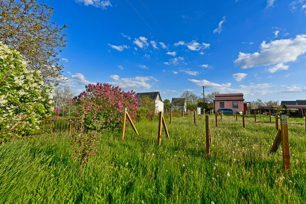 stock image Spring country landscapes, nature wakes up after winter in Ukraine.