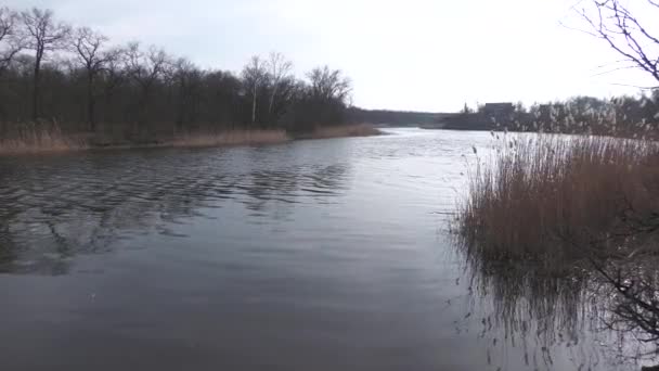 Νωρίς Την Άνοιξη Του Ποταμού Στο Δάσος Ουκρανία Novomoskovsk — Αρχείο Βίντεο