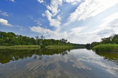 Ukrayna 'daki ormanın güzel yaz nehir manzaraları.