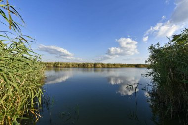 Doğu Ukrayna 'da bir sonbahar gölünün kıyısında..