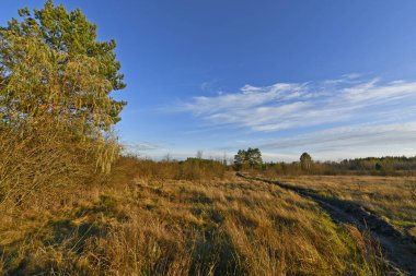 Samara Ormanı, Ukrayna 'nın Dnepropetrovsk bölgesinin Novomoskovsk ve Pavlograd bölgelerinde yer alan bir ormandır..