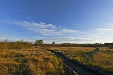Samara Ormanı, Ukrayna 'nın Dnepropetrovsk bölgesinin Novomoskovsk ve Pavlograd bölgelerinde yer alan bir ormandır..