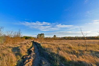 Samara Ormanı, Ukrayna 'nın Dnepropetrovsk bölgesinin Novomoskovsk ve Pavlograd bölgelerinde yer alan bir ormandır..