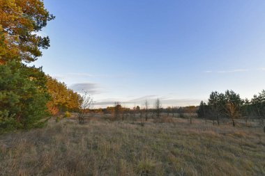 Samara Ormanı, Ukrayna 'nın Dnepropetrovsk bölgesinin Novomoskovsk ve Pavlograd bölgelerinde yer alan bir ormandır..