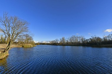 Samara, Dinyeper Nehri 'nin sol kolu olan Ukrayna' da bir nehirdir. Samara Nehri 'nin kaynağı, Donetsk bölgesinin Aleksandrovsky ilçesi Veselaya Gora köyüne yakındır..