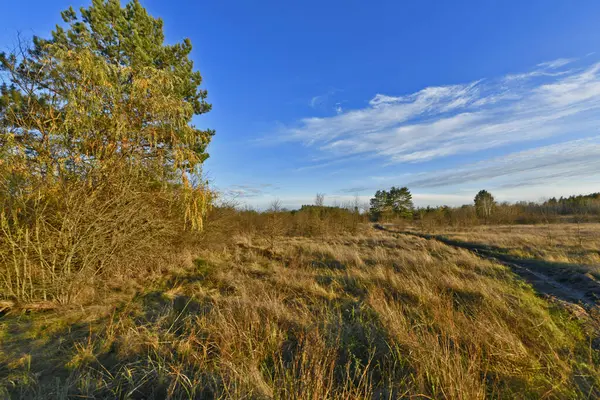 Samara Ormanı, Ukrayna 'nın Dnepropetrovsk bölgesinin Novomoskovsk ve Pavlograd bölgelerinde yer alan bir ormandır..