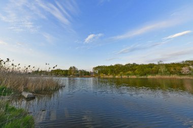 Samara Ukrayna nehrinin kıyısında bahar manzarası.
