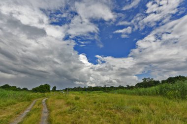 Nehir kıyısı boyunca güzel kırsal manzaralar. Samara Nehri, Ukrayna 'nın en büyük nehri olan Dinyeper' in sol koludur. Kökeni, Donetsk Oblastı 'nın batısındaki Veselaya Gora adlı küçük bir köyden geliyor..