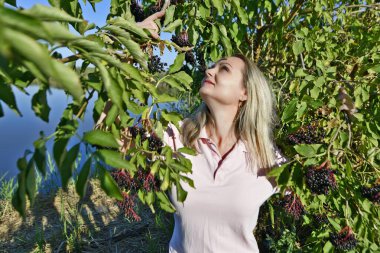 Güzel bir kadın gölün kıyısında dallarda ve mürver kümelerinde.