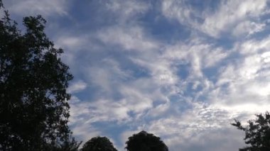 Gün batımında güzel kırsal manzaralar, Korolevka Novomoskovsk köyü Ukrayna bölgesi.