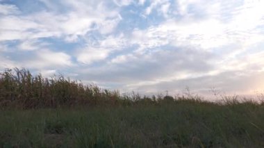 Gün batımında güzel kırsal manzaralar, Korolevka Novomoskovsk köyü Ukrayna bölgesi.