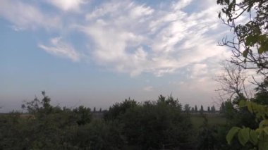 Gün batımında güzel kırsal manzaralar, Korolevka Novomoskovsk köyü Ukrayna bölgesi.