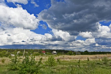 Yazın ilk günlerinin güzel orman manzaraları. Bir orman nehri kıyıları, tarlalar ve orman kenarları.