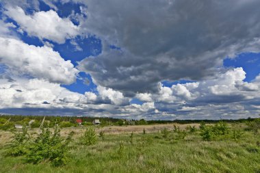 Yazın ilk günlerinin güzel orman manzaraları. Bir orman nehri kıyıları, tarlalar ve orman kenarları.