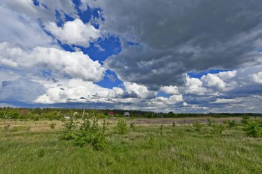 Yazın ilk günlerinin güzel orman manzaraları. Bir orman nehri kıyıları, tarlalar ve orman kenarları.