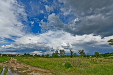 Yazın ilk günlerinin güzel orman manzaraları. Bir orman nehri kıyıları, tarlalar ve orman kenarları.
