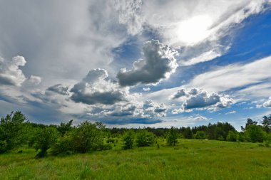 Yazın ilk günlerinin güzel orman manzaraları. Bir orman nehri kıyıları, tarlalar ve orman kenarları.