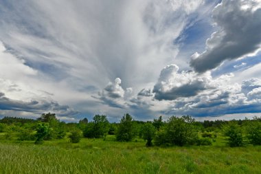 Yazın ilk günlerinin güzel orman manzaraları. Bir orman nehri kıyıları, tarlalar ve orman kenarları.