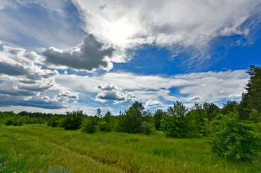 Yazın ilk günlerinin güzel orman manzaraları. Bir orman nehri kıyıları, tarlalar ve orman kenarları.
