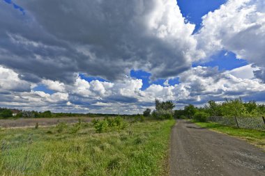 Yazın ilk günlerinin güzel orman manzaraları. Bir orman nehri kıyıları, tarlalar ve orman kenarları.