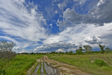 Yazın ilk günlerinin güzel orman manzaraları. Bir orman nehri kıyıları, tarlalar ve orman kenarları.