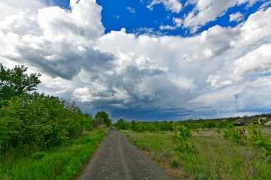 Yazın ilk günlerinin güzel orman manzaraları. Bir orman nehri kıyıları, tarlalar ve orman kenarları.