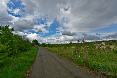 Yazın ilk günlerinin güzel orman manzaraları. Bir orman nehri kıyıları, tarlalar ve orman kenarları.