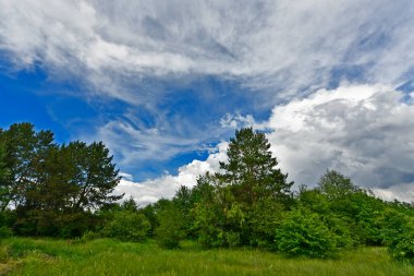 Yazın ilk günlerinin güzel orman manzaraları. Bir orman nehri kıyıları, tarlalar ve orman kenarları.