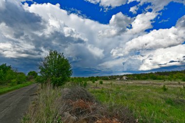 Yazın ilk günlerinin güzel orman manzaraları. Bir orman nehri kıyıları, tarlalar ve orman kenarları.
