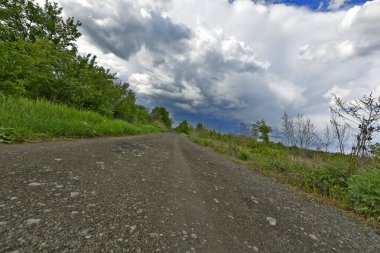 Yazın ilk günlerinin güzel orman manzaraları. Bir orman nehri kıyıları, tarlalar ve orman kenarları.