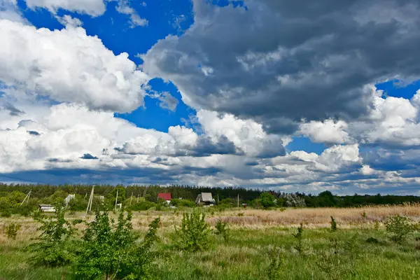 Yazın ilk günlerinin güzel orman manzaraları. Bir orman nehri kıyıları, tarlalar ve orman kenarları.