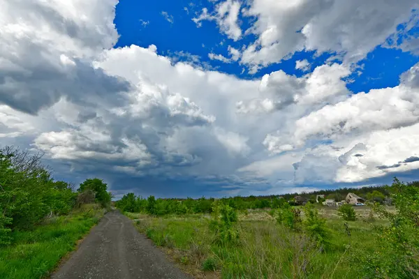 Yazın ilk günlerinin güzel orman manzaraları. Bir orman nehri kıyıları, tarlalar ve orman kenarları.