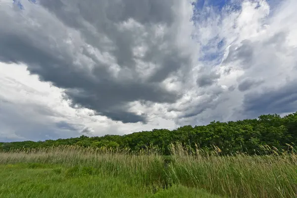 Yazın ilk günlerinin güzel orman manzaraları. Bir orman nehri kıyıları, tarlalar ve orman kenarları.
