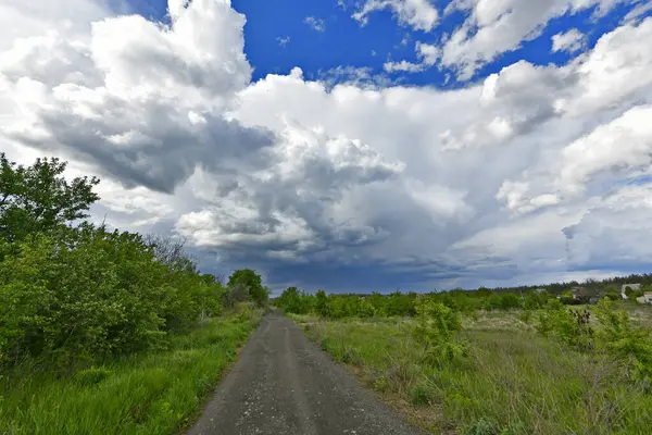 Yazın ilk günlerinin güzel orman manzaraları. Bir orman nehri kıyıları, tarlalar ve orman kenarları.