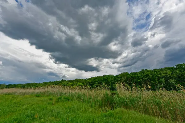 Yazın ilk günlerinin güzel orman manzaraları. Bir orman nehri kıyıları, tarlalar ve orman kenarları.