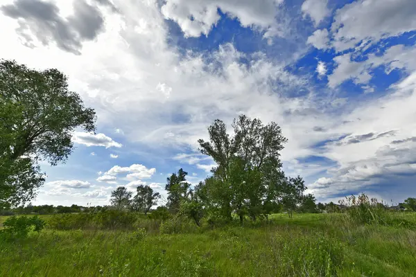 Yazın ilk günlerinin güzel orman manzaraları. Bir orman nehri kıyıları, tarlalar ve orman kenarları.