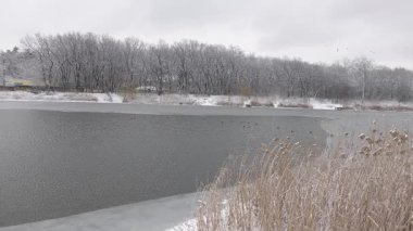 Samara nehri ve Ukrayna 'nın karlı kış manzaraları.